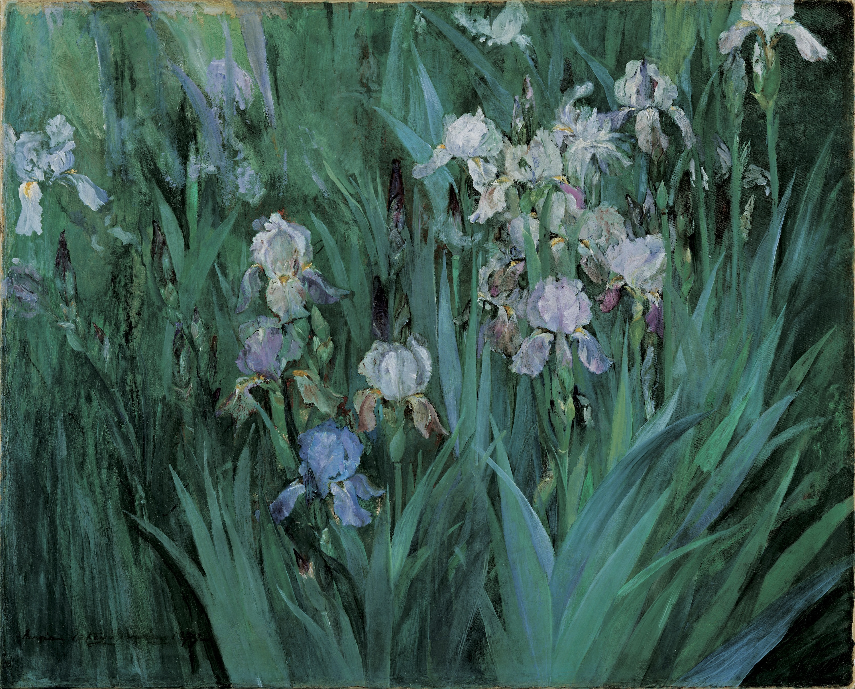 Перуника у зору by Maria Oakey Dewing - 1899. - 64 × 79.5 cm 