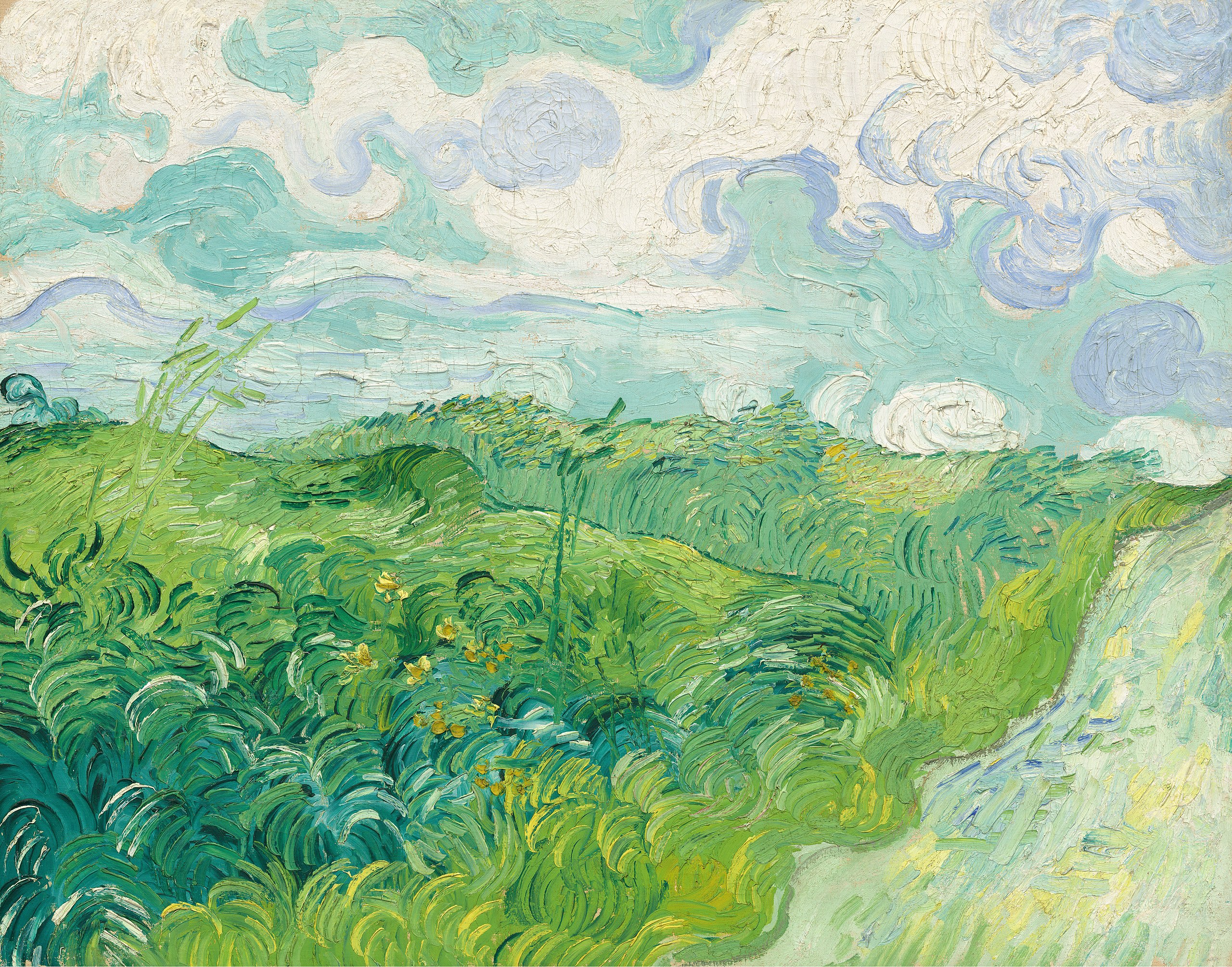 Câmpuri verzi de grâu, Auvers by Vincent van Gogh - 1890 - 72.39 × 91.44 cm 