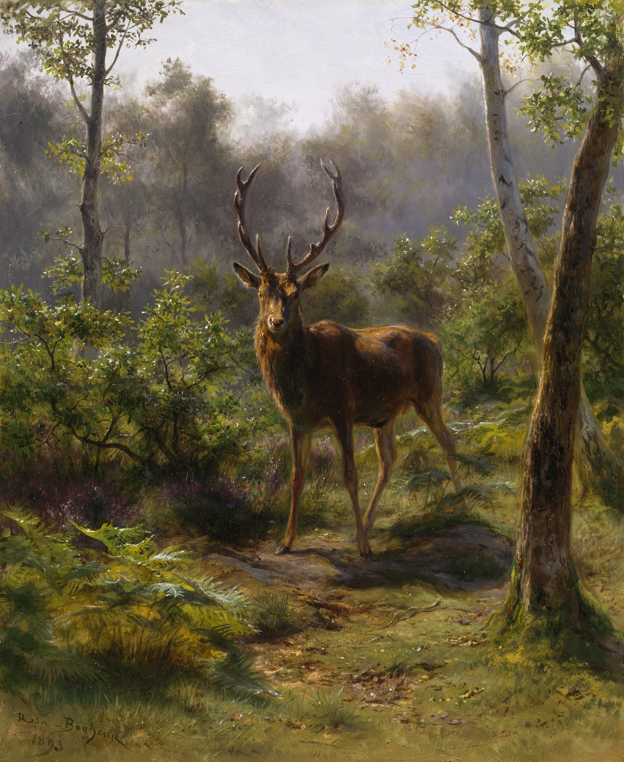 一头雄鹿 by 罗莎 博纳尔 - 1893 - 46 x 38厘米 爱尔兰国家美术馆