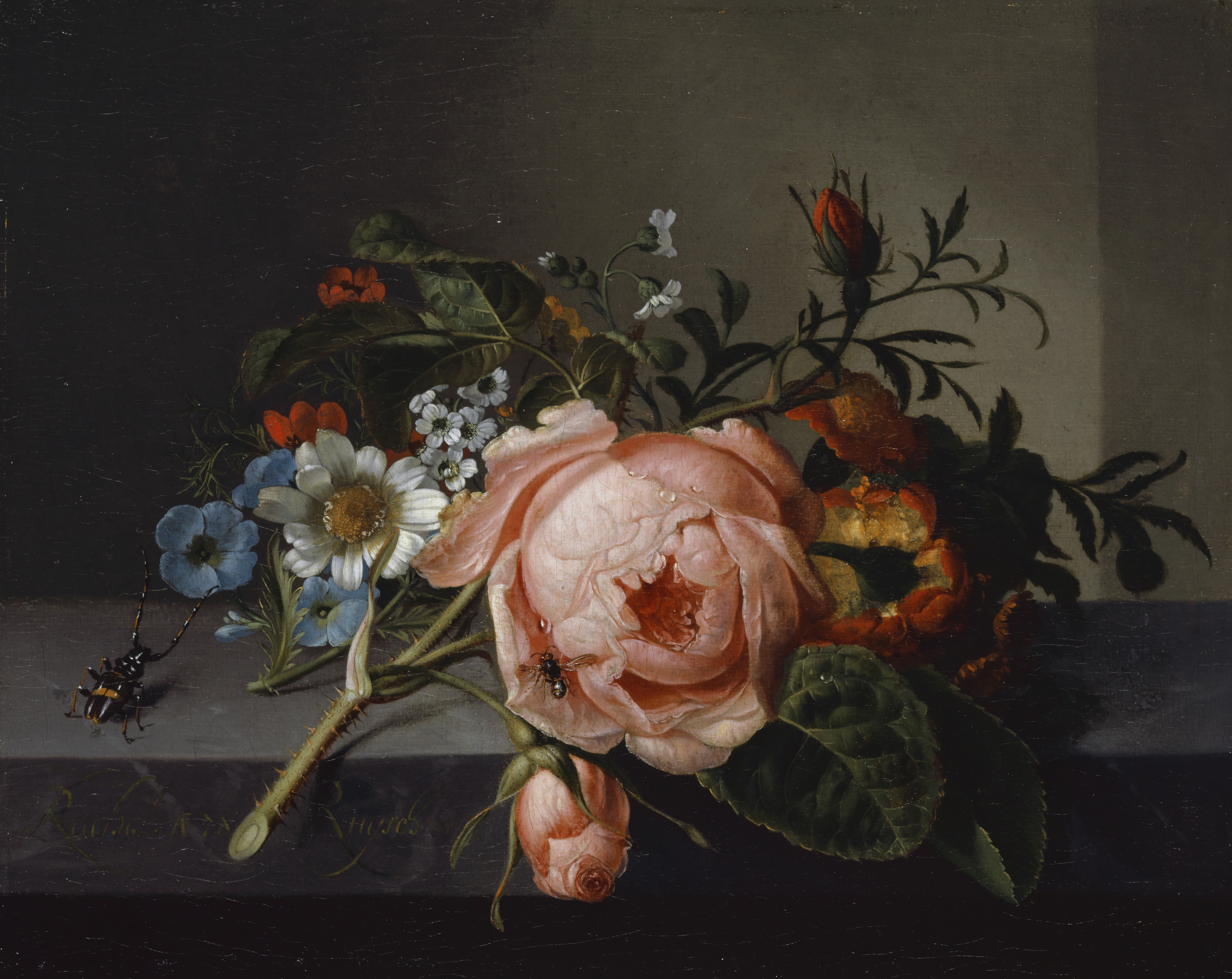 带玫瑰枝、甲虫和蜜蜂的静物 by 雷切尔 鲁伊施 - 1741 - 20 x 24.5厘米 巴塞尔美术馆