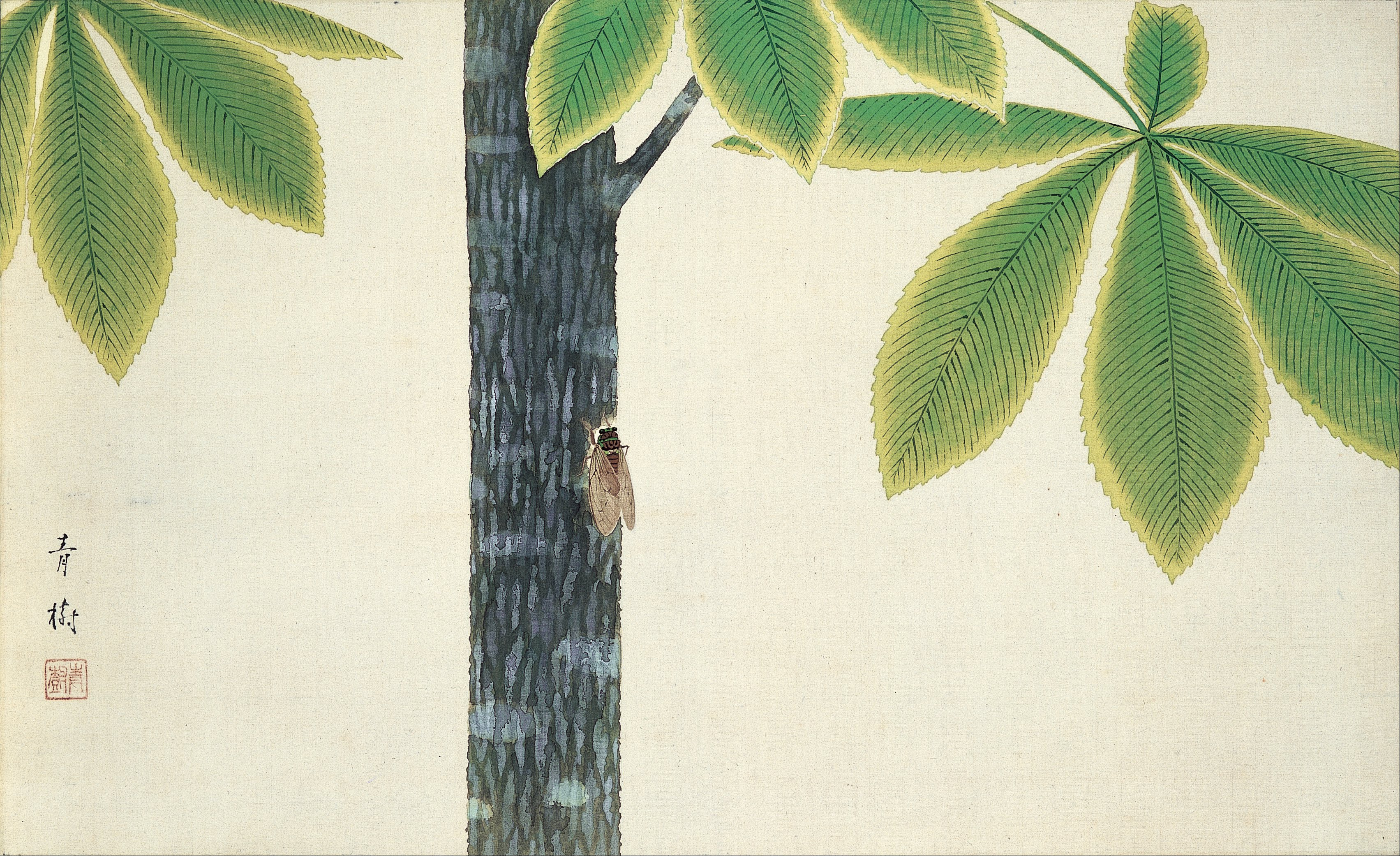 蝉 by 青樹 小茂田 - 1930 - 39.8 x 65.8 cm 足立美术馆