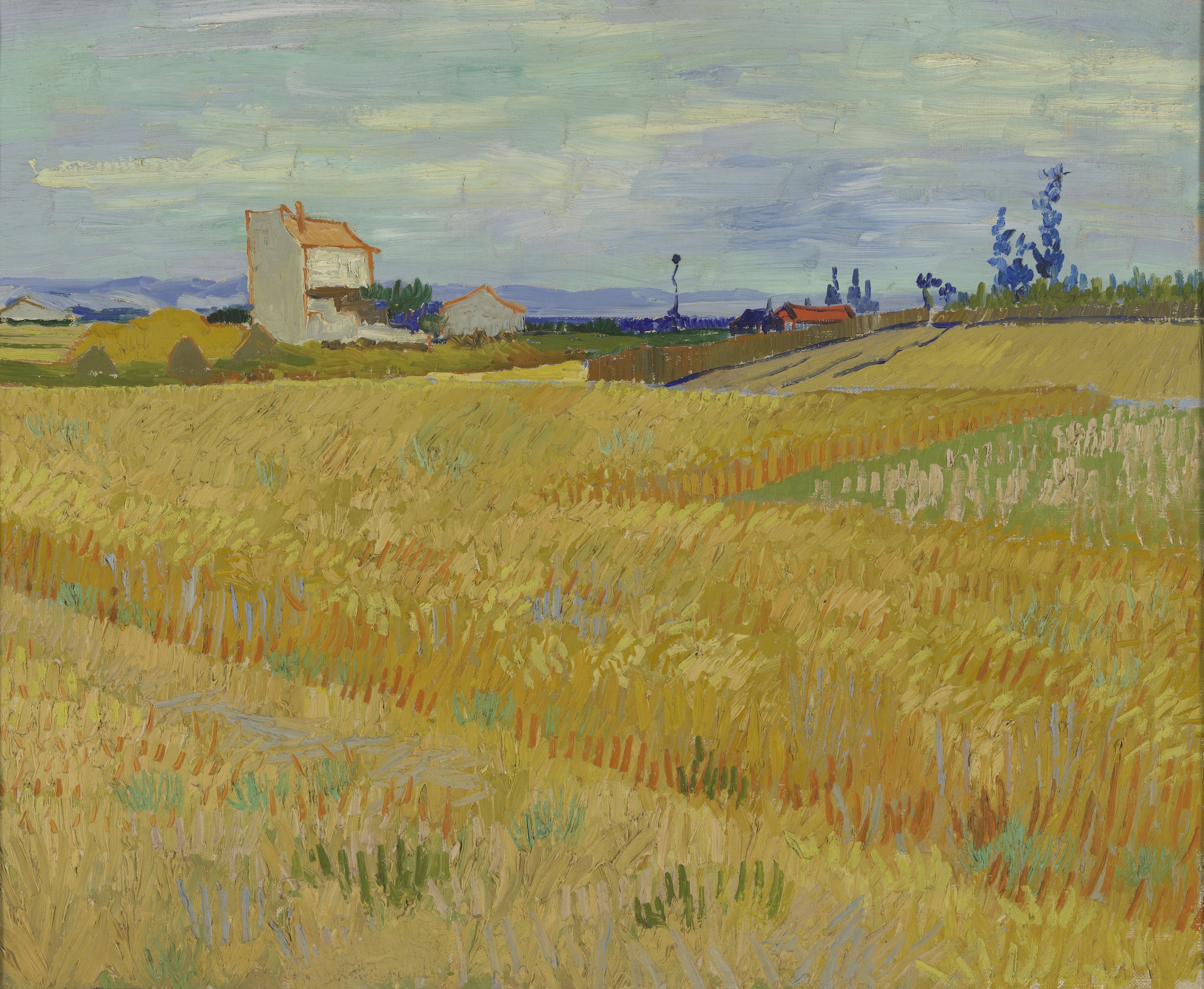 Wheatfield by Vincent van Gogh - 1888 - 61 x 50 cm Rijksmuseum