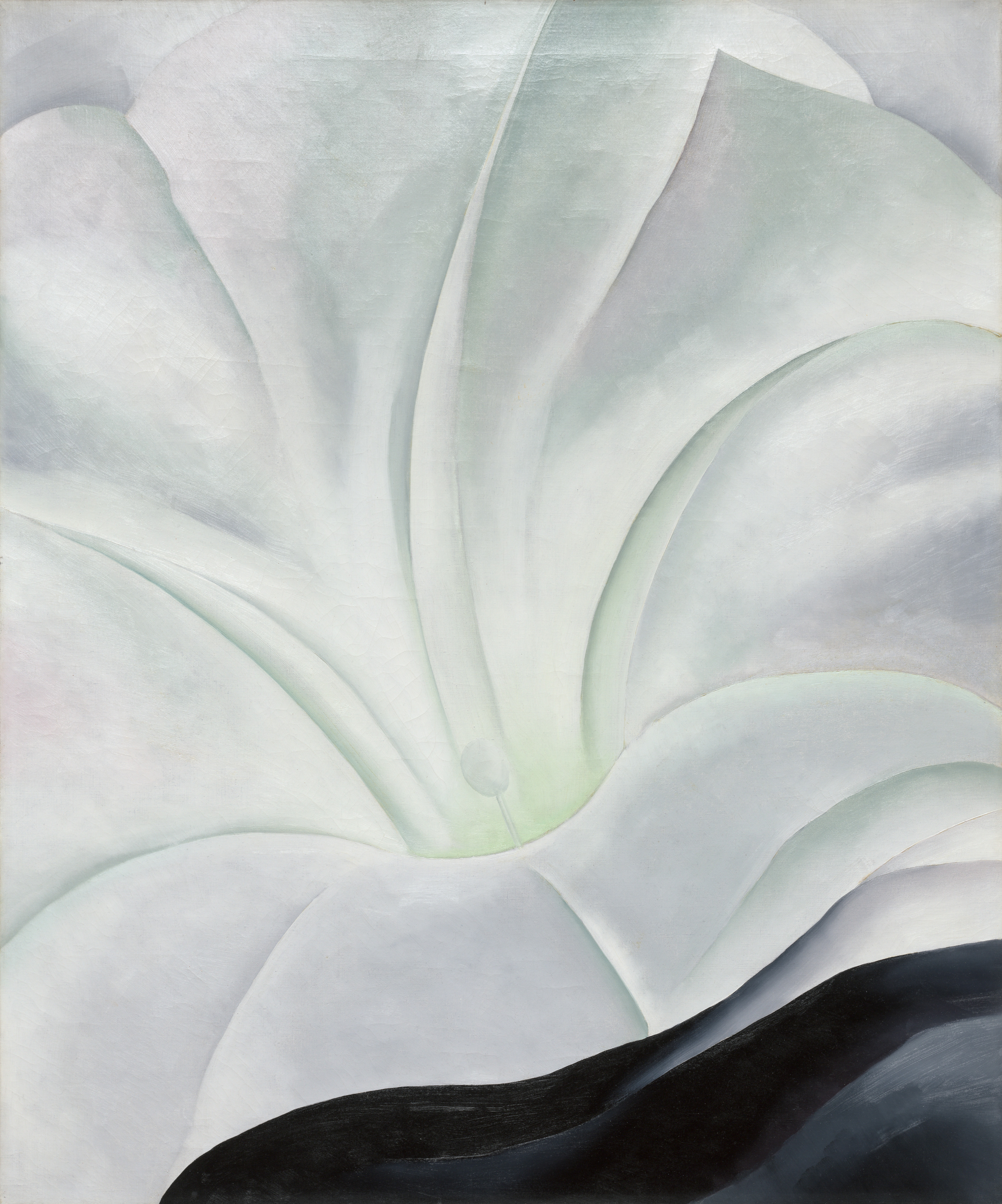 Campanilla con negro by Georgia O'Keffee - 1926 - 96.5 x 81.3 cm Museo de Arte de Cleveland