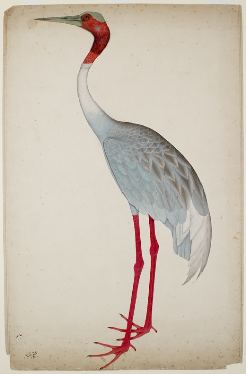 Shaikh Zain al–Din - fl. 1777– - 1782