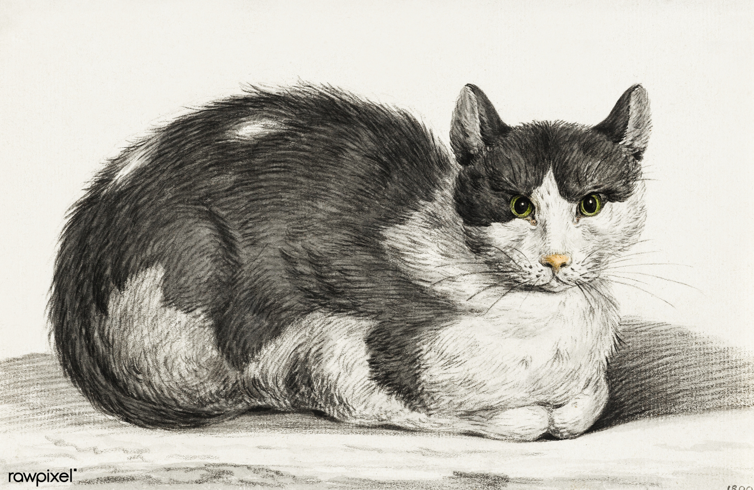 Jean-Bernard Duvivier - 1762 - 1837