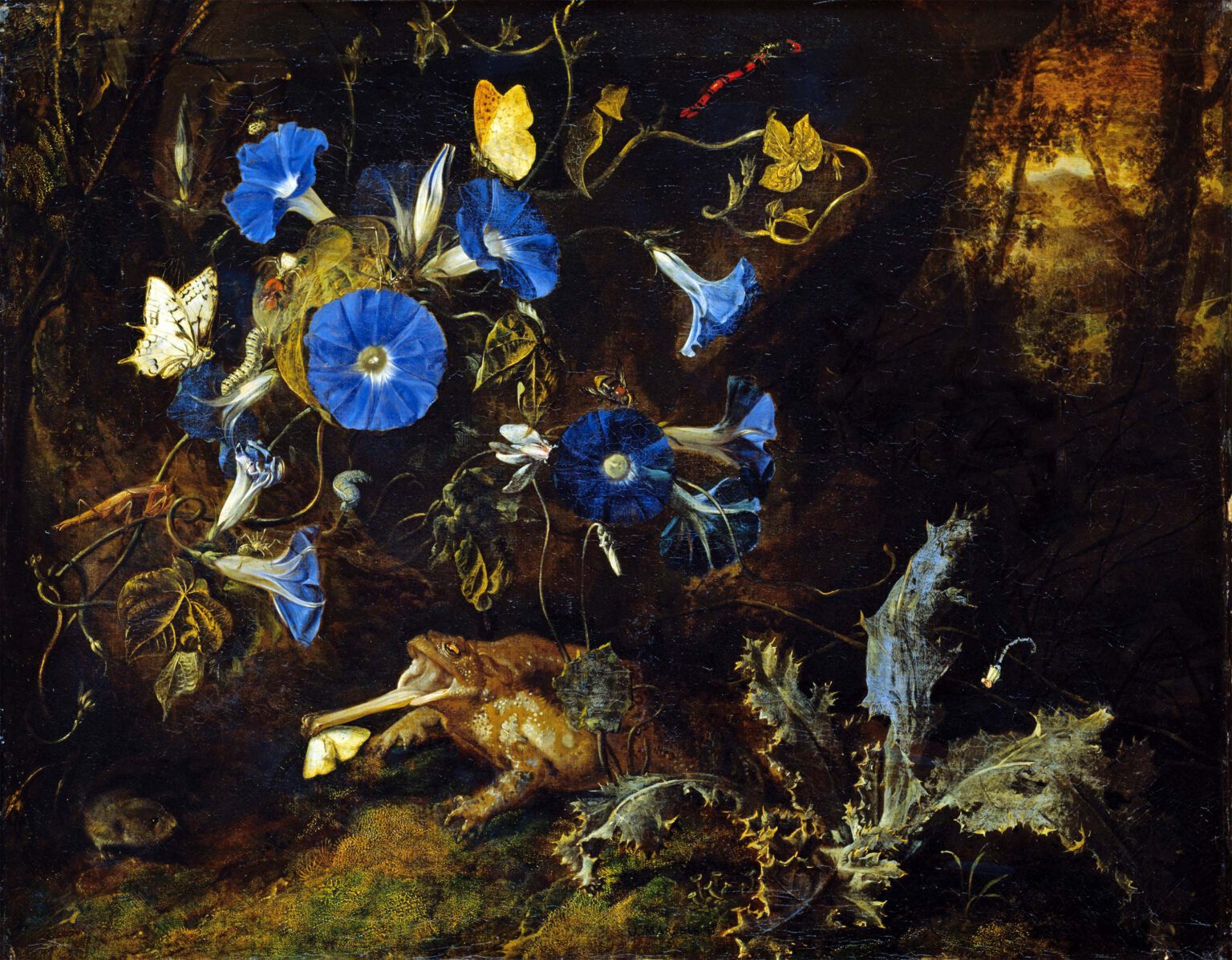 Otto Marseus van Schrieck - c. 1613 - June 1678