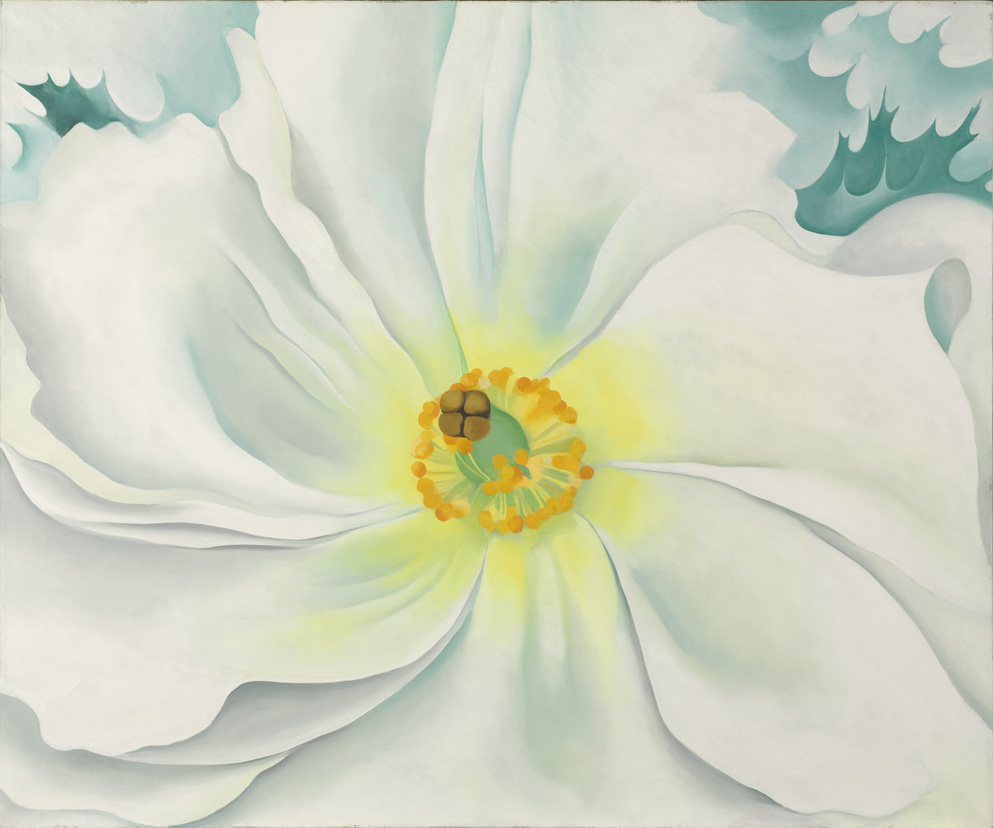Weiße Blume by Georgia O'Keeffe - 1929 - 76.2 x 91.5 cm Cleveland Museum of Art