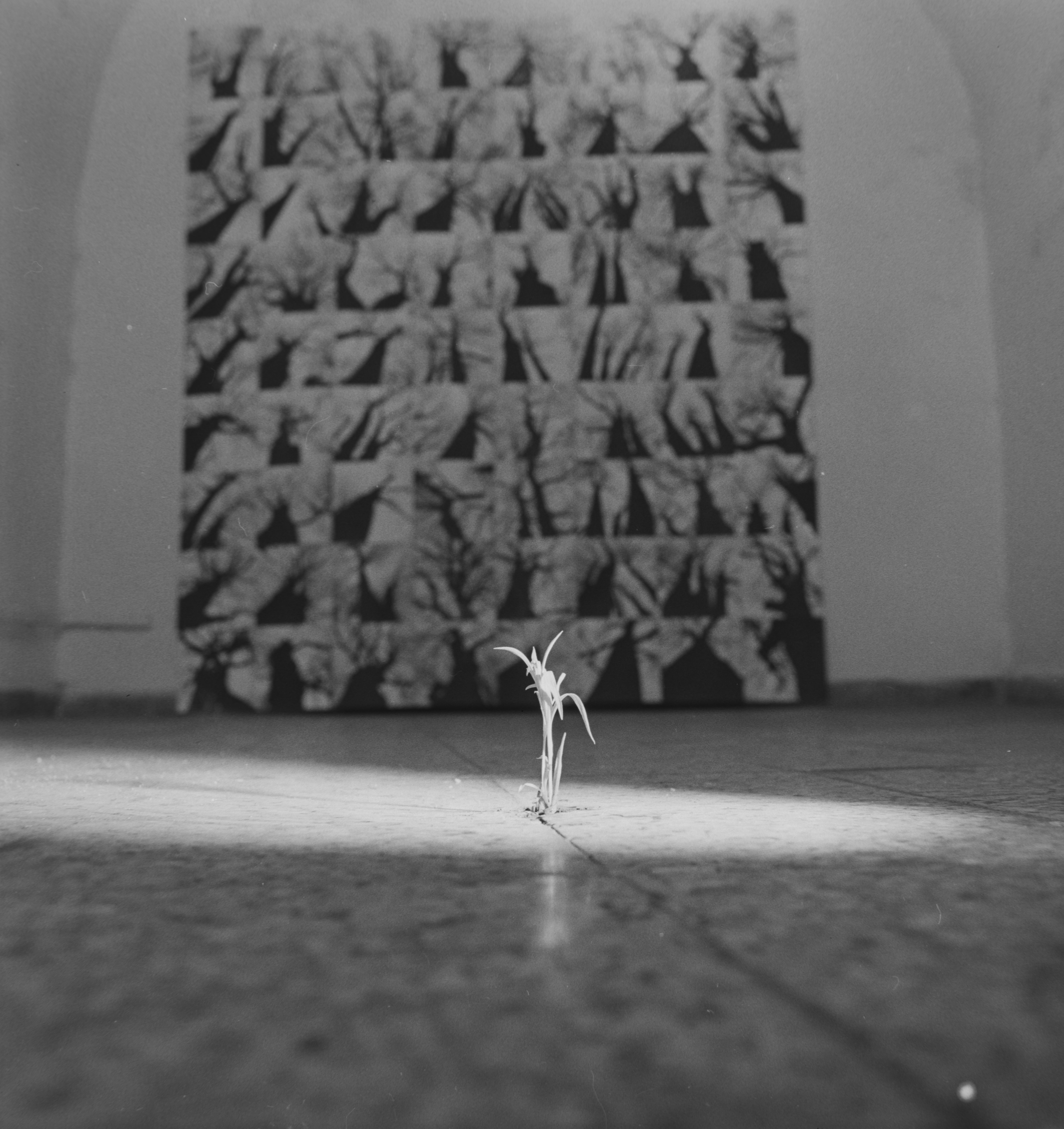 Kert by Lucjan Demidowski - 1973 - 6 × 6 cm 