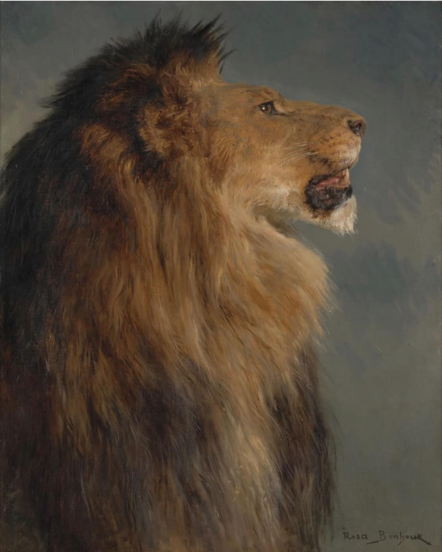 Ett lejonhuvud by Rosa Bonheur - ca 1870-91 - 80,5 x 64,2 cm 
