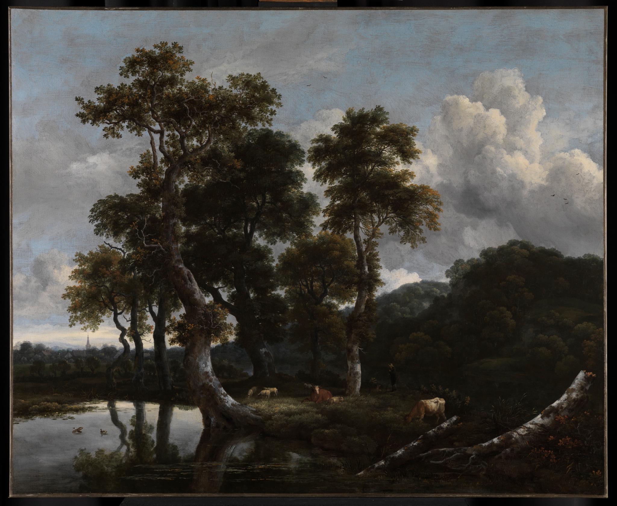 بیشه‌ی درختان بلوط بزرگ در لبه‌ی یک برکه by Jacob van Ruisdael - ۱۶۶۵ - ۱۰۱ × ۱۲۳ سانتی‌متر 