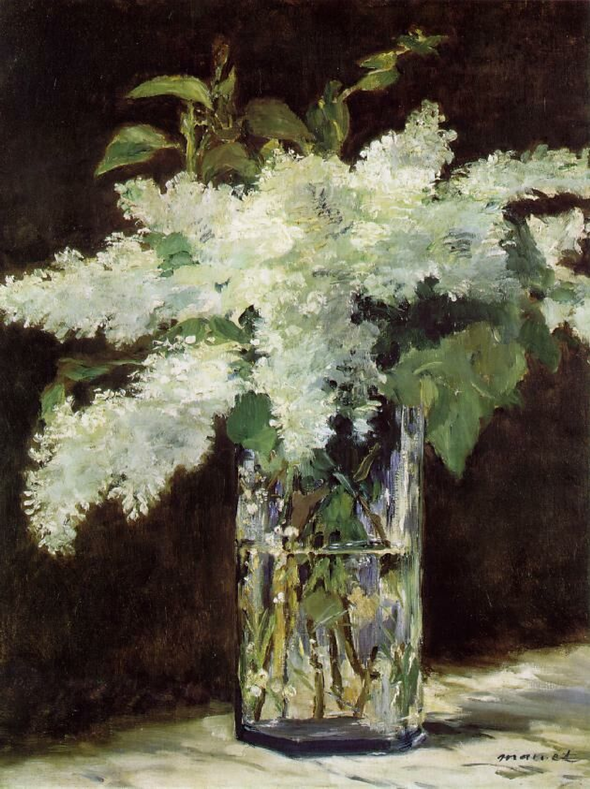 Lírio branco by Édouard Manet - c. 1882 - 42 x 54 cm 