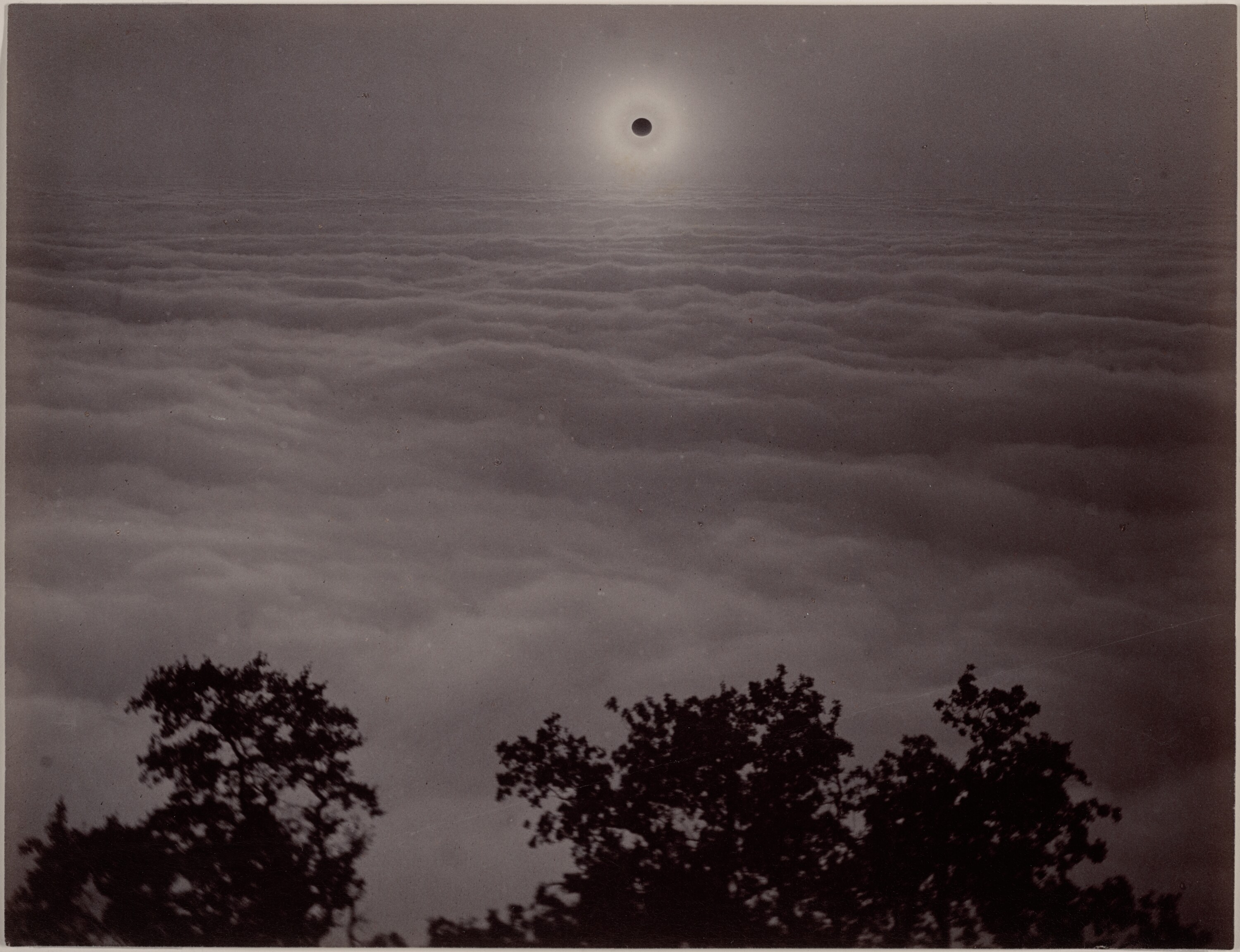 개기일식 (Solar Eclipse) by Carleton Watkins - January 11, 1880 - 16.5 × 21.6 cm 