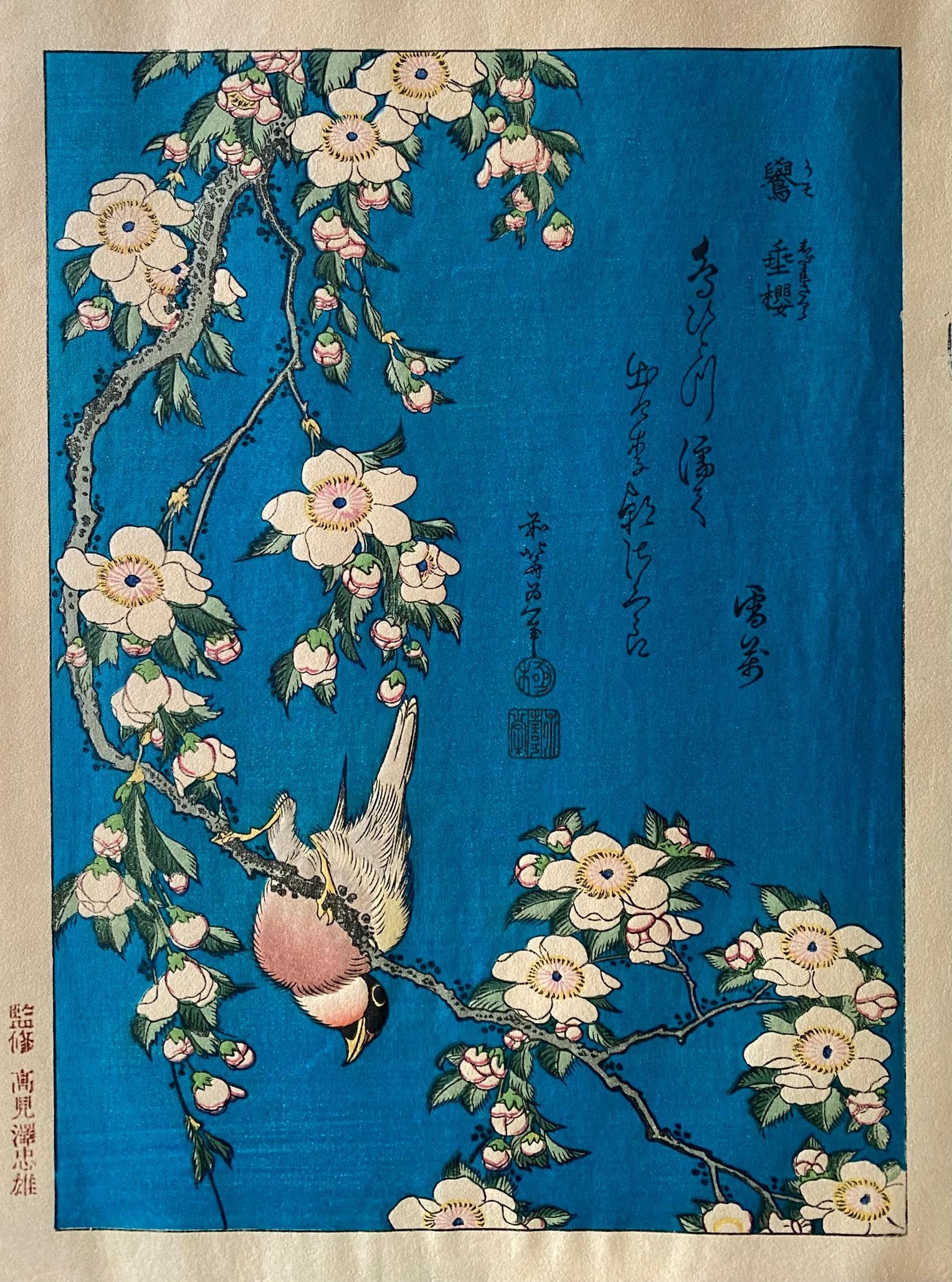 Mugurar și cireș plângător by Katsushika Hokusai - între 1829 și 1839 - 25.4 × 19.1 cm 