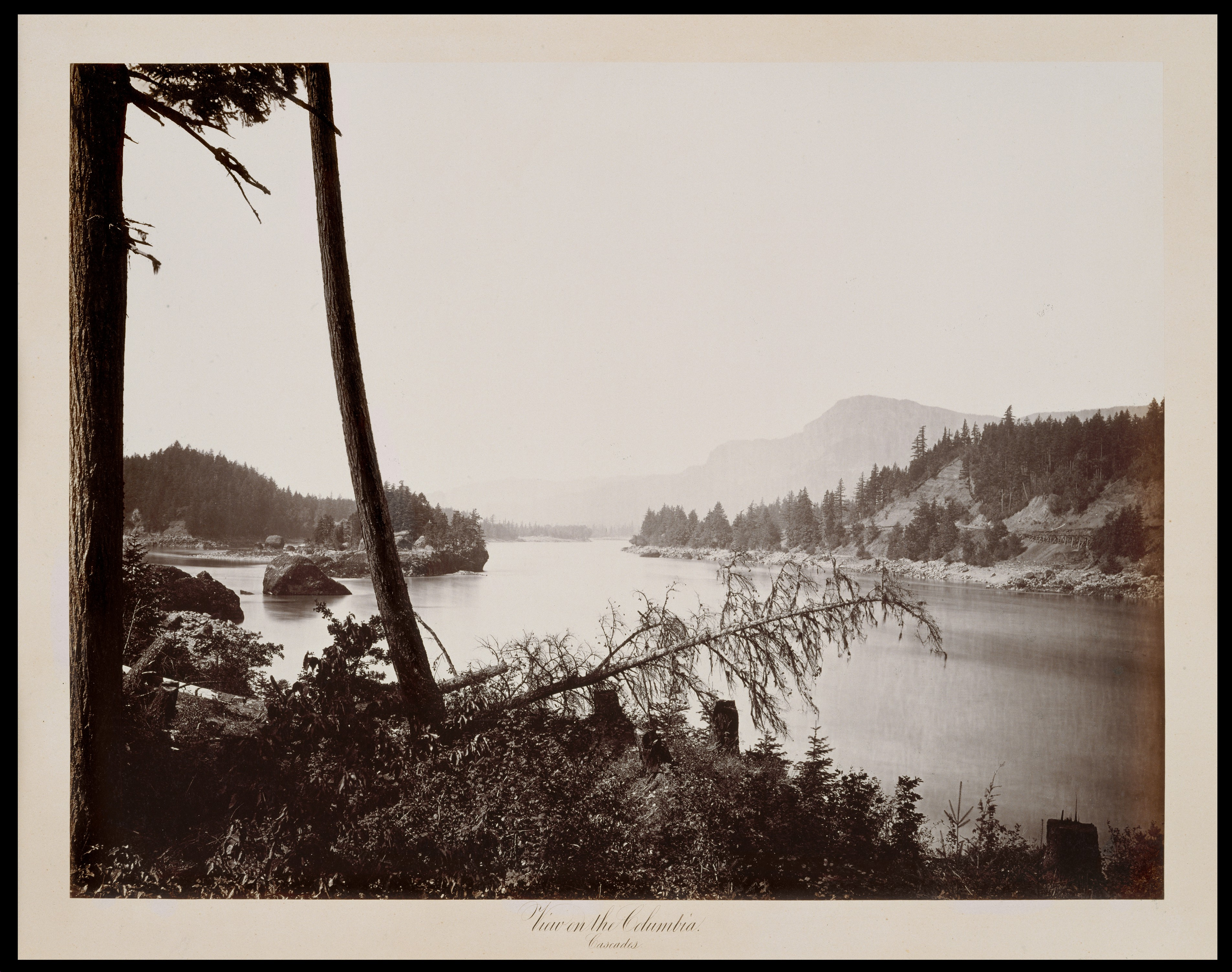 منظره کلمبیا، کسکیدز by Carleton Watkins - ۱۸۶۷ - ۴۰.۰ در ۵۲.۴ سانتی‌متر 