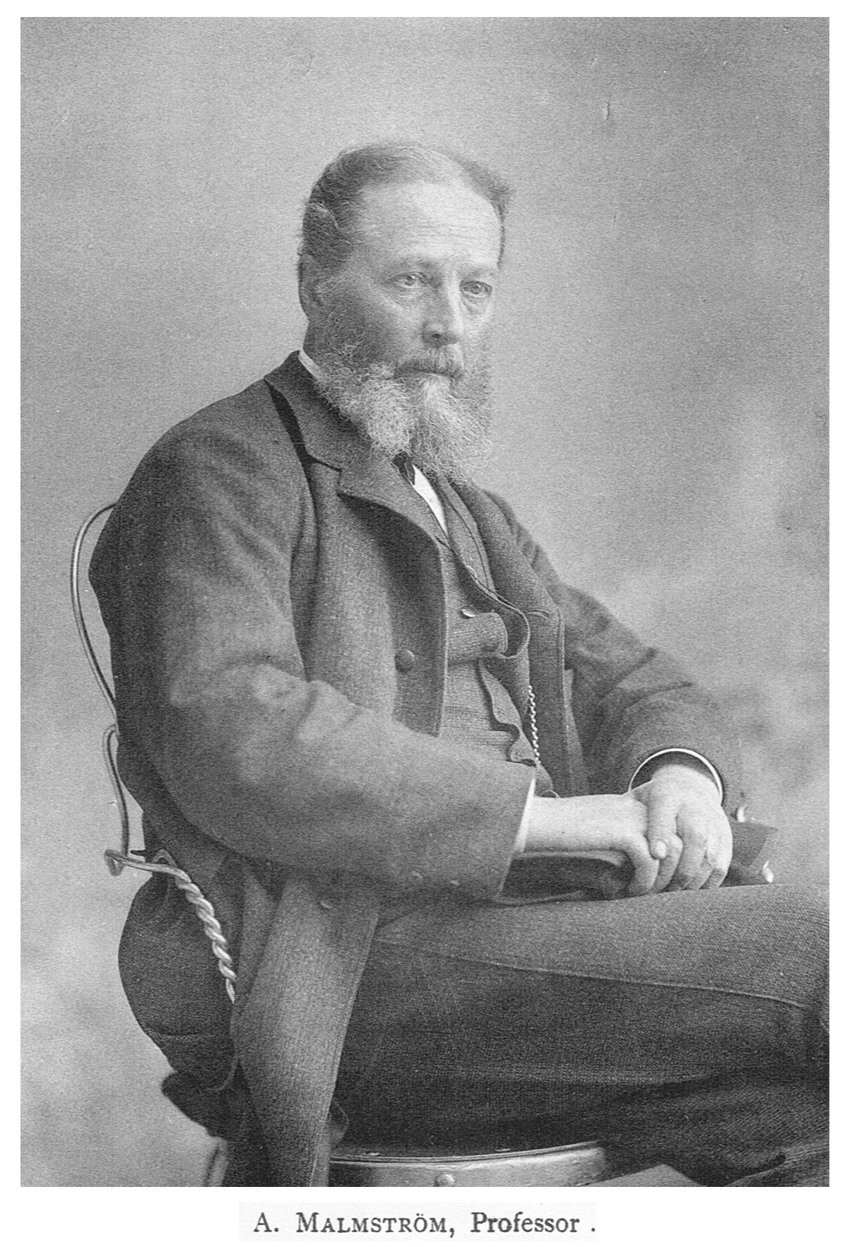 August Malmström - 14 October 1829 - 18 October 1901